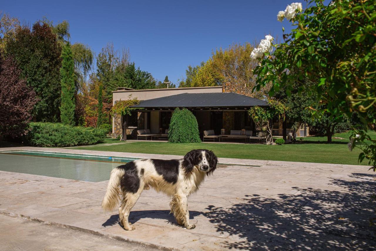 Tunuyán La Estacada Polo & Lodge מראה חיצוני תמונה